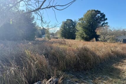 more about DOGWOOD LOOP COURT