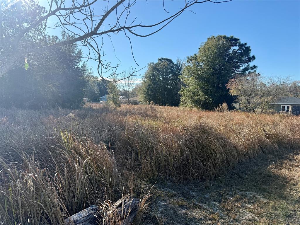 Property listing photo for DOGWOOD LOOP COURT