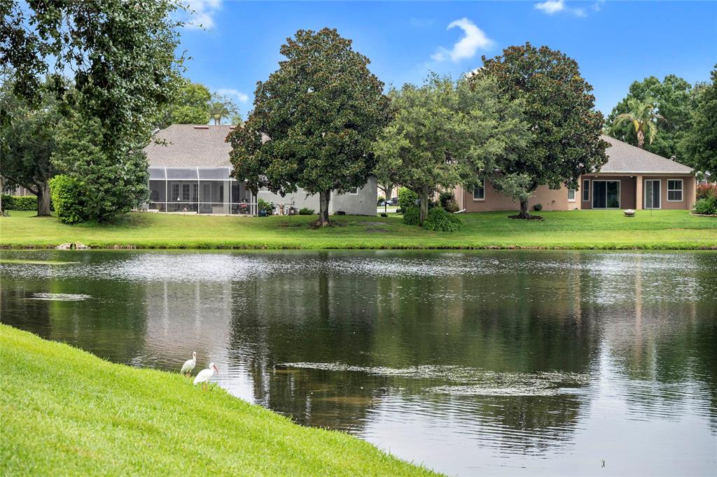 Property listing photo for 2848 ALOMA LAKE RUN