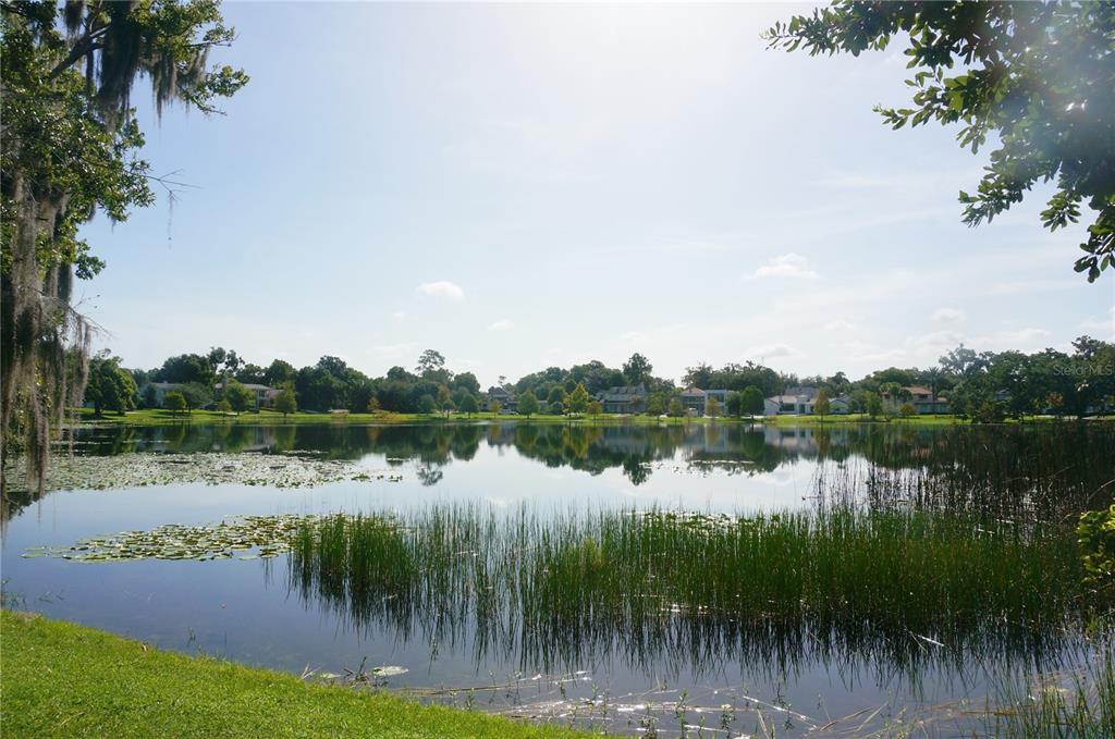 Property listing photo for 1443 HIBISCUS AVENUE